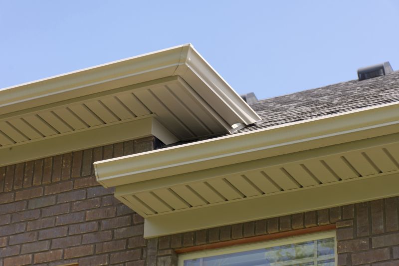 Vinyl Molding Repair in Olathe, KS